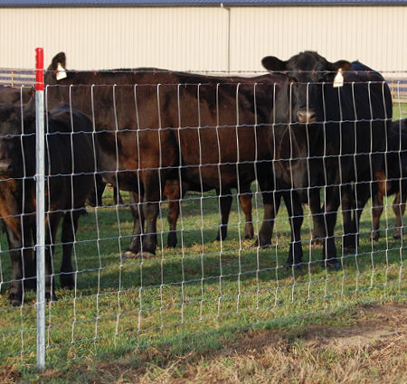 FIELD FENCE - LIVESTOCK/CATTLE